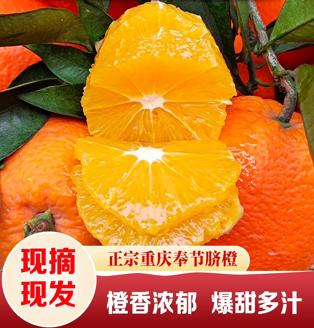 【普通快递】正宗重庆奉节脐橙纽荷尔非赣南果冻橙当季水果特产热卖