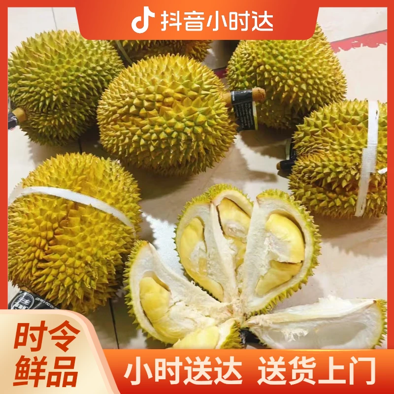 【鲜果汇】泰国金枕 榴莲（B果）