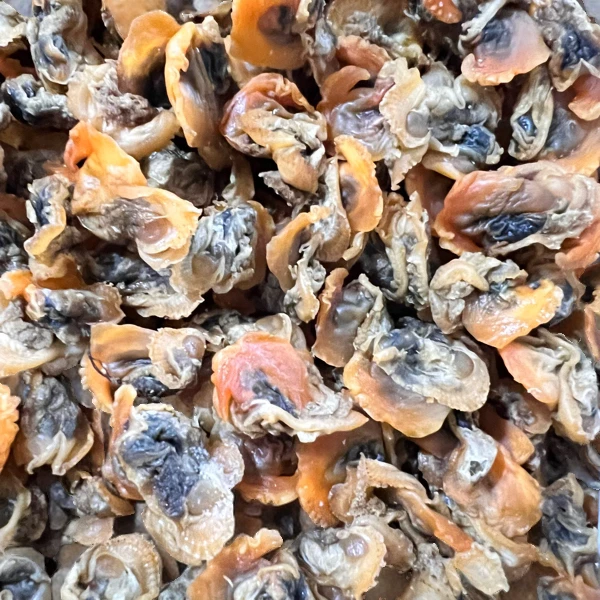 福建特产蚶子干净含量500g/袋