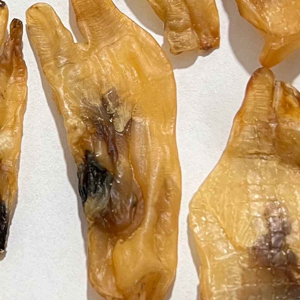 福建特产日晒生蛏干净含量500g/袋