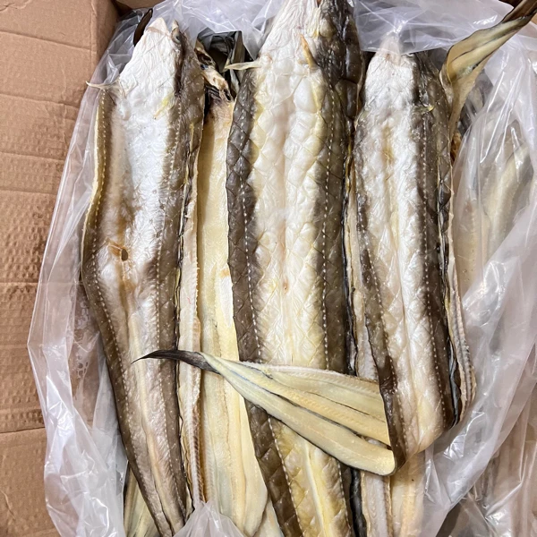 福建特产油鳗干净含量500g/袋