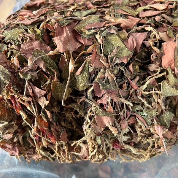 福建特产整株金xian线-莲净含量500g/袋