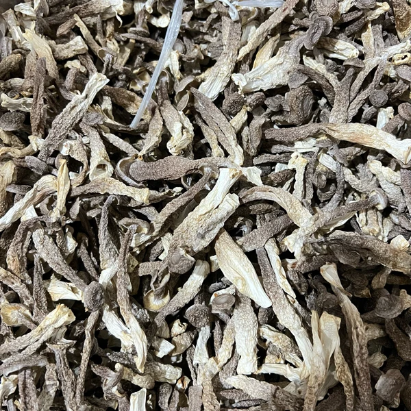 福建特产珍鲜鹿茸菇500g