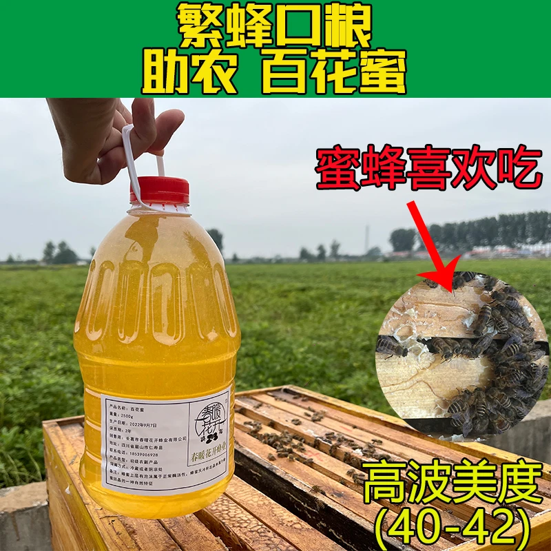 喂蜂蜂蜜蜂口粮天然喂蜂杂花蜜蜜蜂饲料中蜂饲料中蜂口粮成熟马蜂