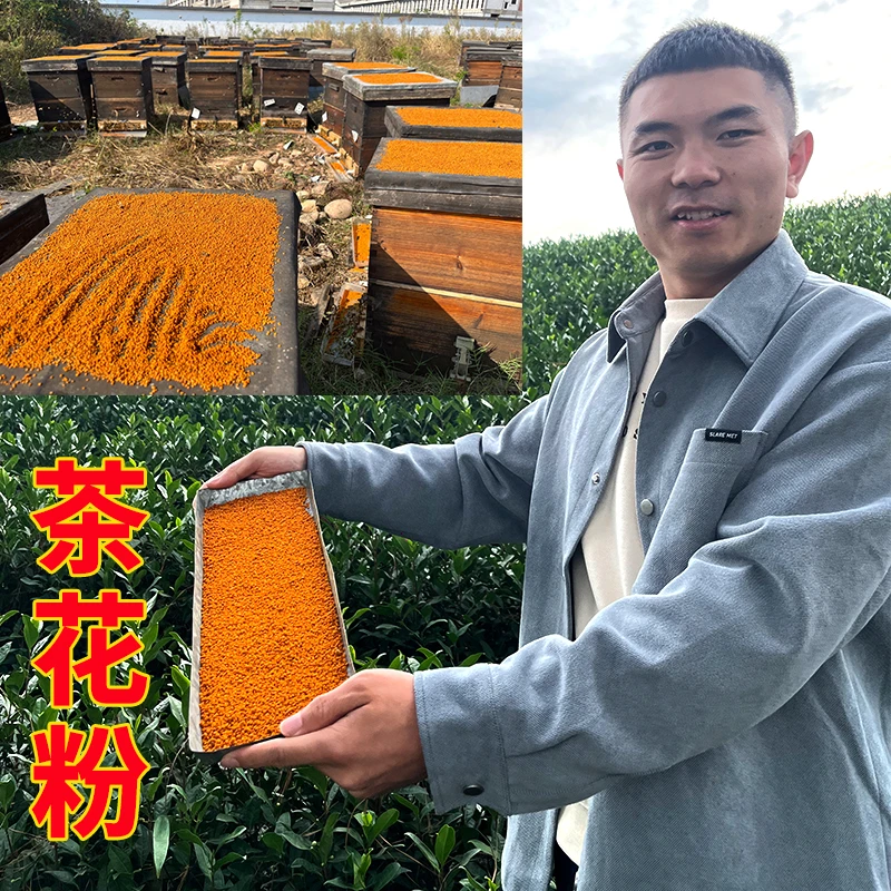 春暖花开新鲜浙江安吉茶花蜂花粉天然纯正茶花粉蜜蜂花粉人吃食用