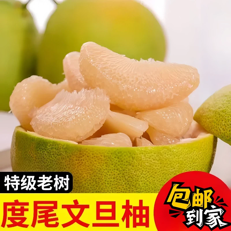 正宗度尾红心文旦柚产地直发现摘现发单季新鲜红心柚孕妇水果