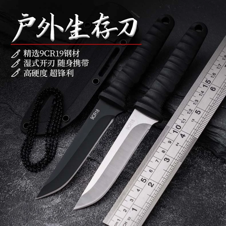 带刀鞘不锈钢刀野外便携烧烤吃肉刀家用瓜果刀锋利水果刀