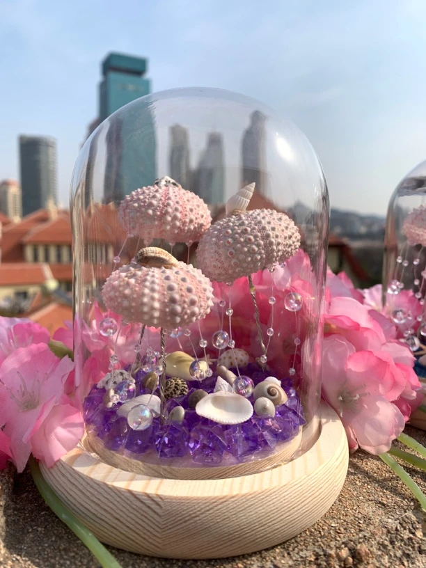 贝壳手工DIY成品创意礼物水母灯海胆灯水母灯小夜灯