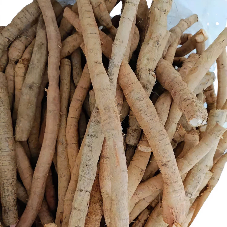 台山野生新鲜牛大力 煲汤水 500g