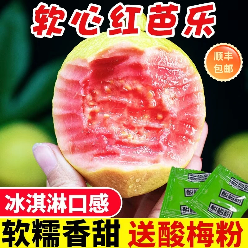 树上熟软芭乐 白心/红心芭乐 番石榴3斤 现摘现发新鲜水果 【顺丰】