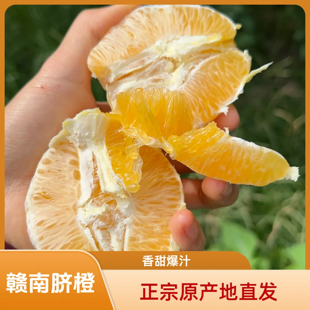 （现摘现发）赣南脐橙寻乌脐橙当季橙子孕妇水果酸甜爆汁发货
