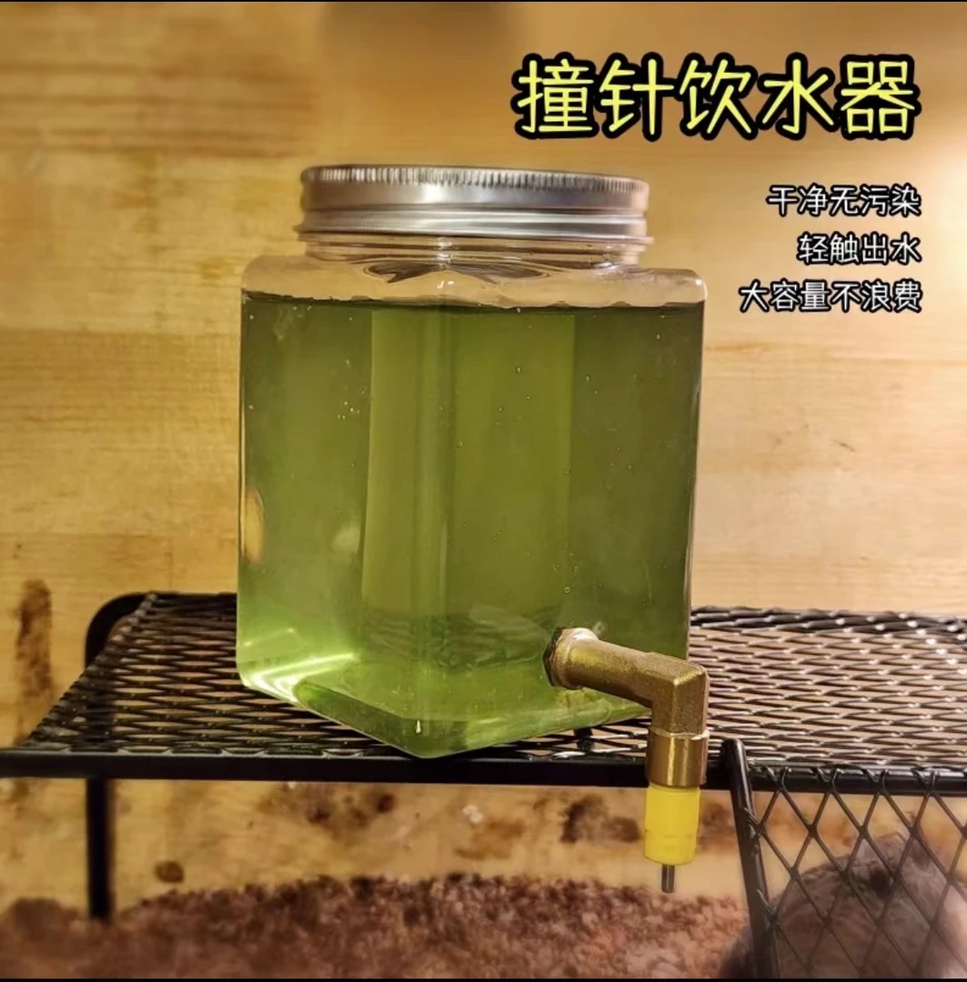 天霖618直播间选款芦丁鸡饮水平台网格置物架芦丁鸡用品集合