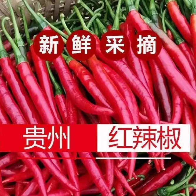 红辣椒贵州二荆条辣椒剁椒糟辣椒辣椒酱泡椒专用现摘现发3-5斤