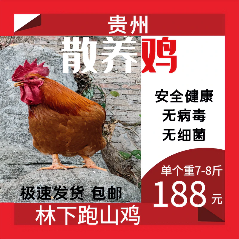 贵州高原农村散养鸡猪草粮食喂养7到8斤左右农家原味冷冻肉质品质
