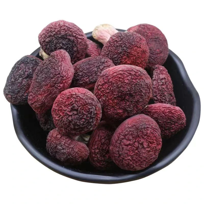 有铺精选云南红菇500g