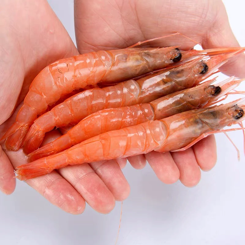 石浦东海野生红虾