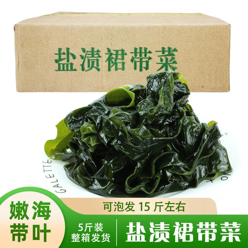 【太便宜了】5斤盐渍裙带菜海藻干净鲜嫩凉拌麻辣烫火锅食材批