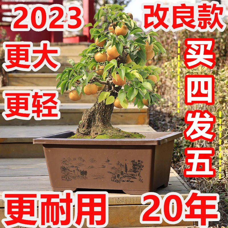 仿紫砂花盆加高款长方形盆景盆特大号加厚马槽盆吸水石户外花园