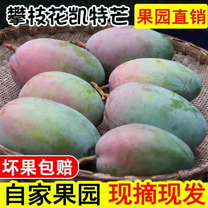 【9.9发5斤】云南凯特芒果新鲜当季水果软了就吃需催熟