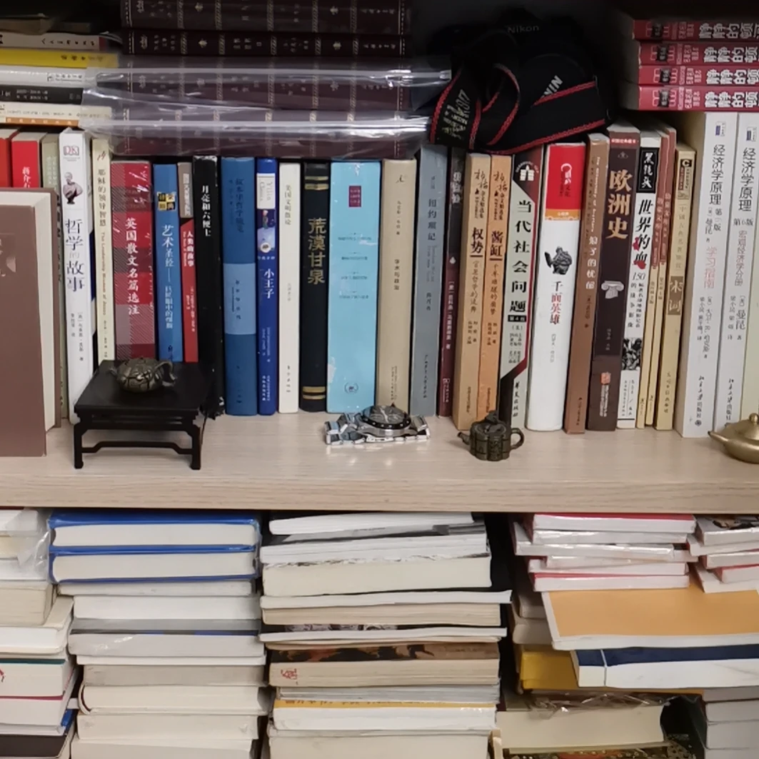 客厅书房装饰珍藏版图书