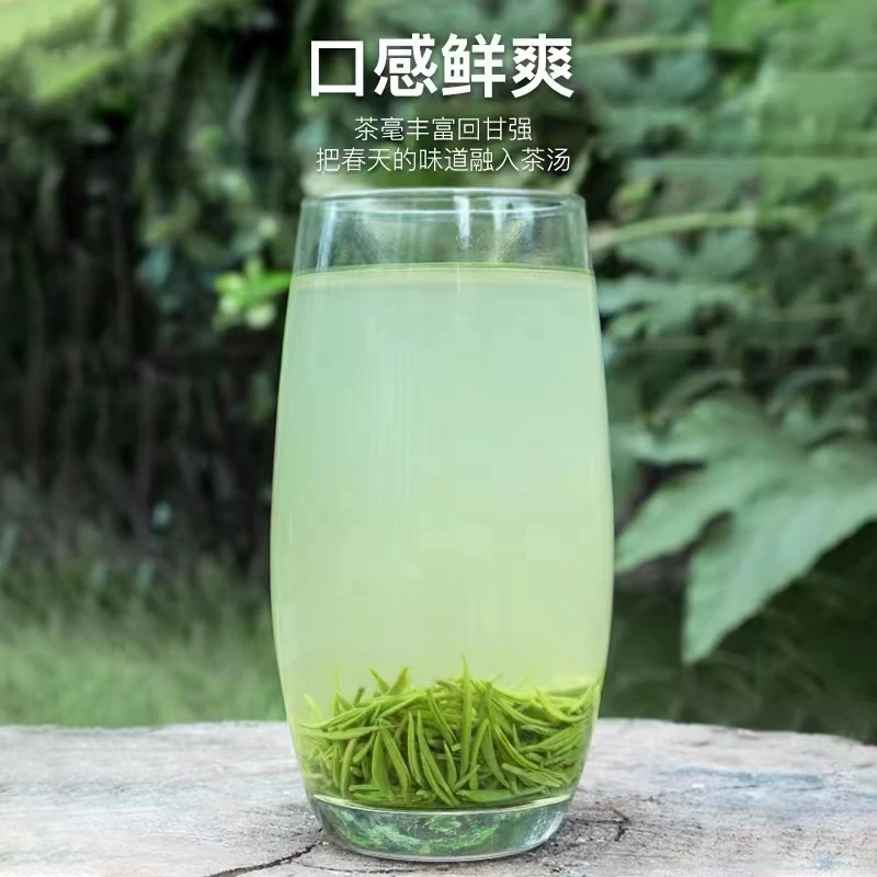 信阳毛尖特惠3号