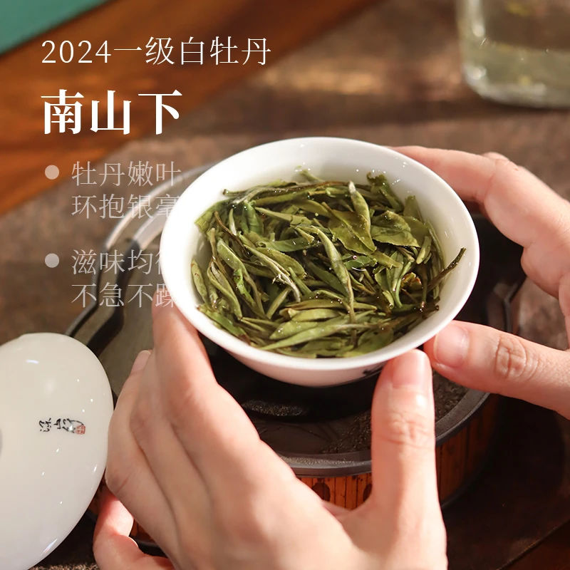 深山行南山下·2024年一级白牡丹  福鼎管阳高山白茶