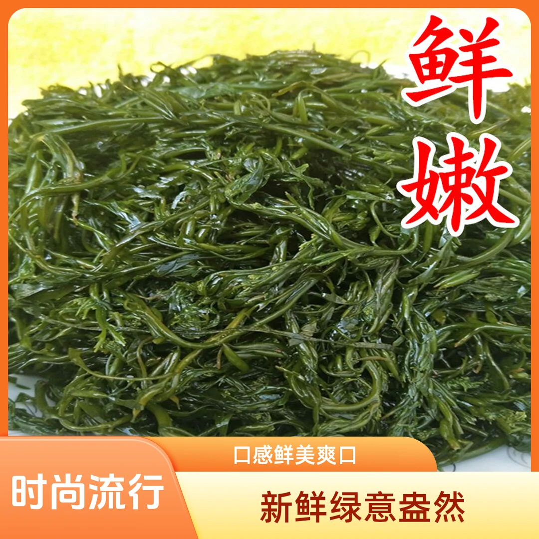 5斤/箱新鲜盐渍马尾藻龙须菜碱性海藻长寿菜鞭炮笋凉拌鲜嫩海藻菜