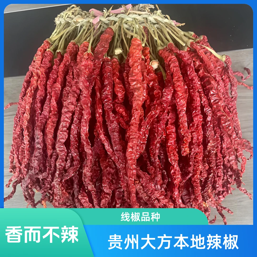 贵州毕节大方皱皮干辣椒线椒香而不辣