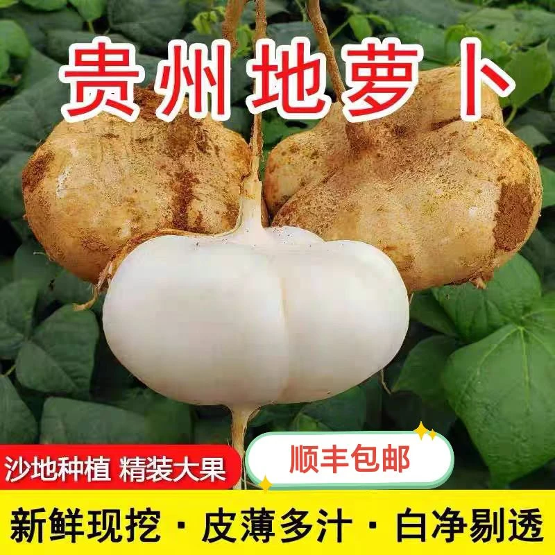 (顺丰包邮)贵州地萝卜凉薯脆甜新鲜水果现挖去皮即吃脆嫩皮薄多汁