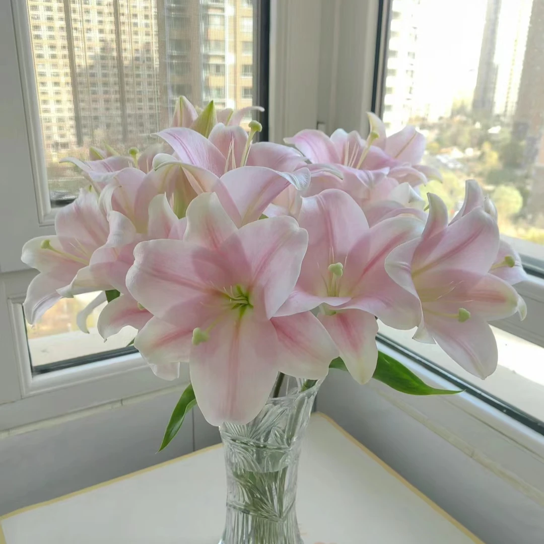粉铁炮百合多头2支（8朵）粉色百合云南基地鲜花 家养 水养