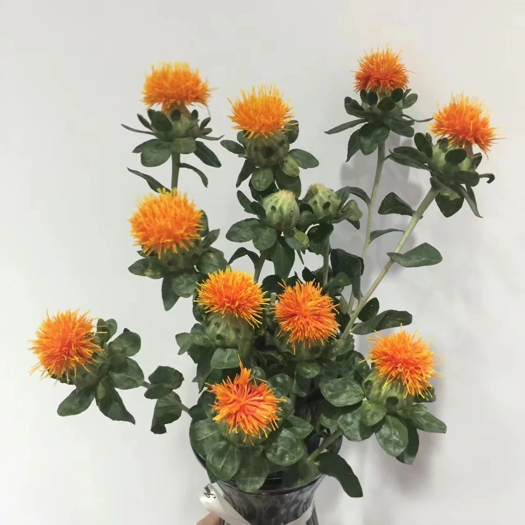 【买一送一】橙菠萝   批发花店摆地摊直发一手货源   家养水养
