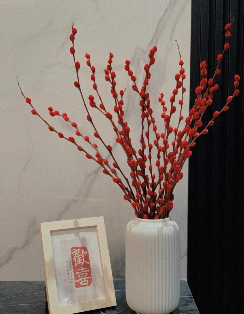 年宵花   银柳  10支  干花   摆件   中国红  花期长