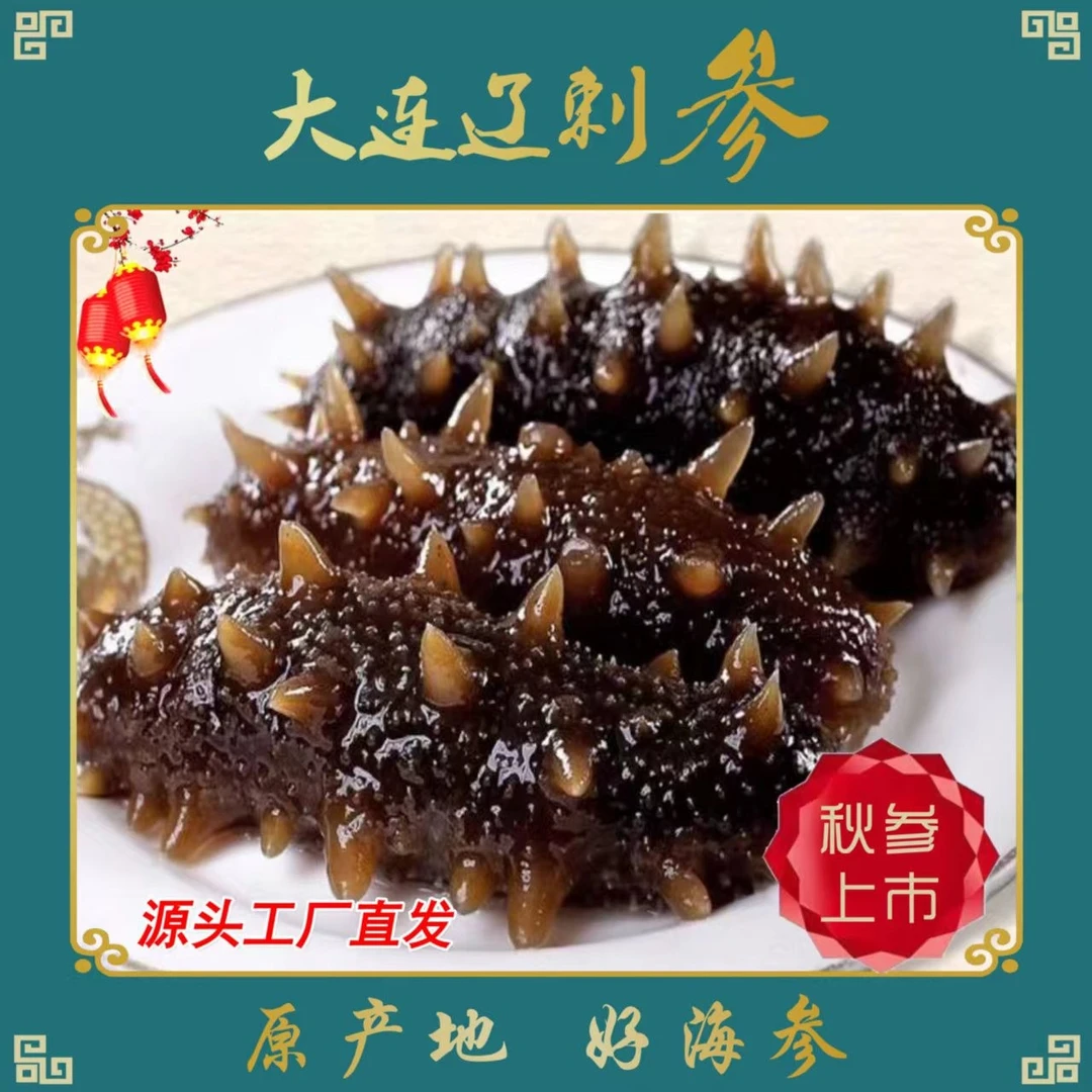 鲜食海参500克俊友多大连刺参工厂直发
