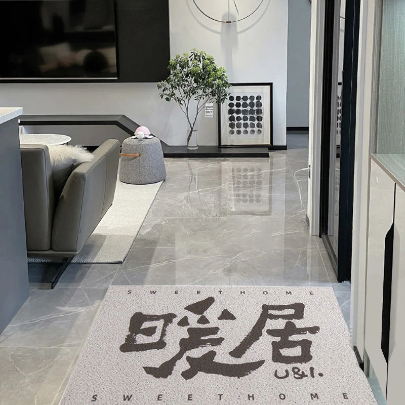 网红家用入户门地垫丝圈玄关脚垫免洗除尘可裁剪门垫防滑耐磨地毯