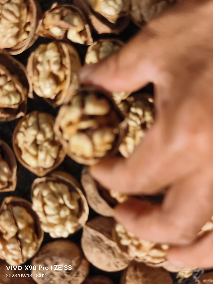 185纸皮核桃新疆特产包邮