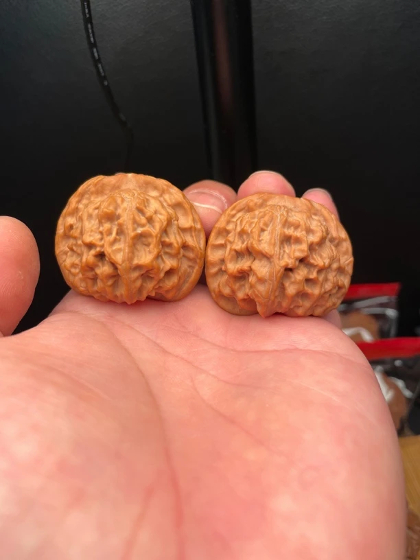 文玩核桃天地狮子头