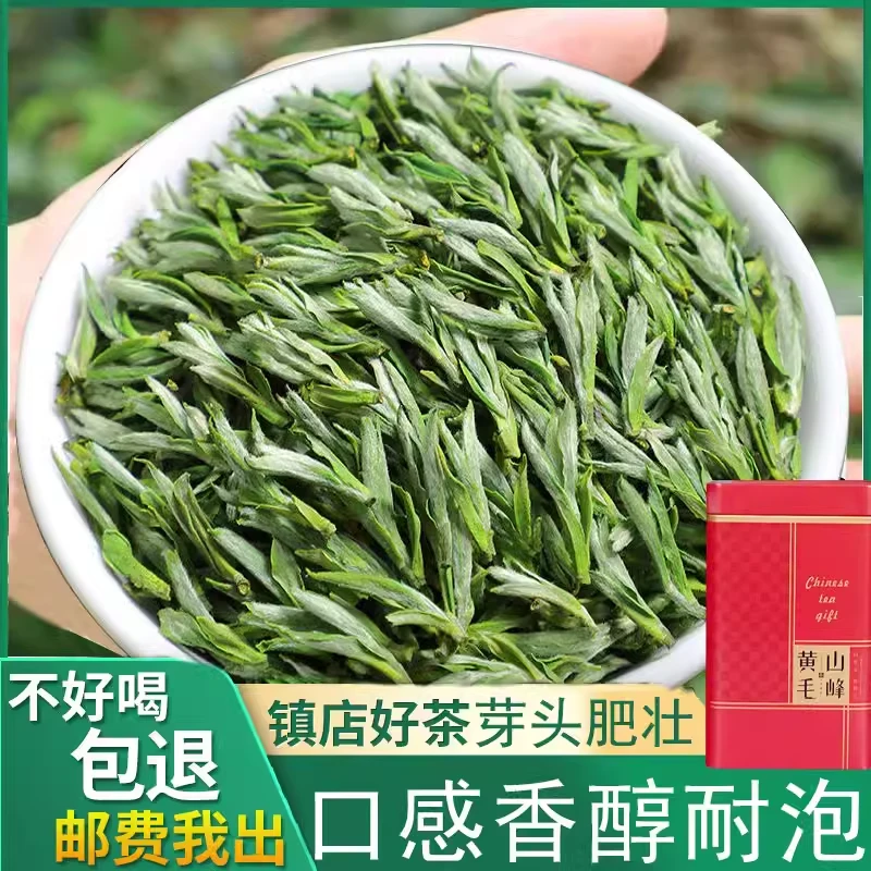 绿茶黄山毛峰2024新茶浓香耐泡嫩芽头安徽茶叶自己喝礼盒罐装50g