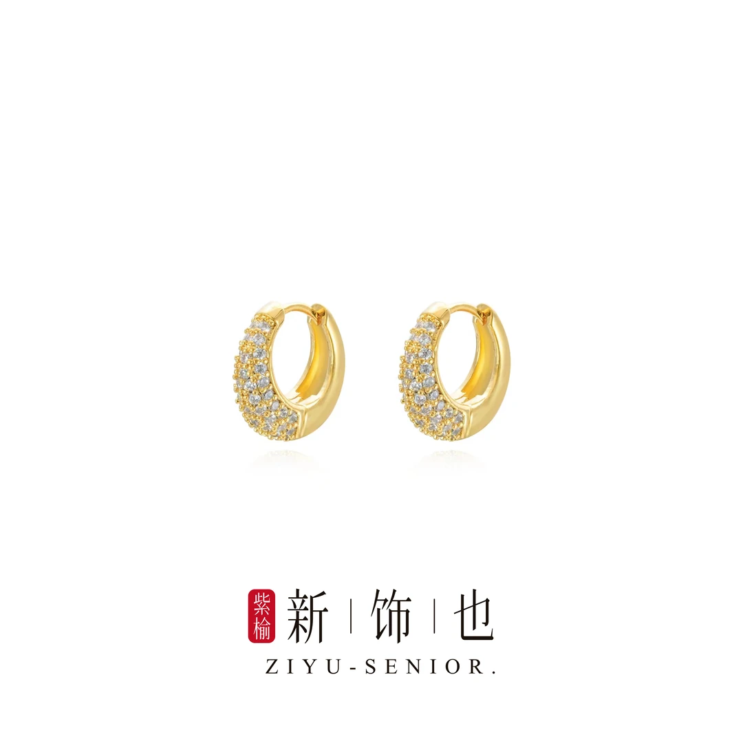 G0220 爆款圈圈耳环