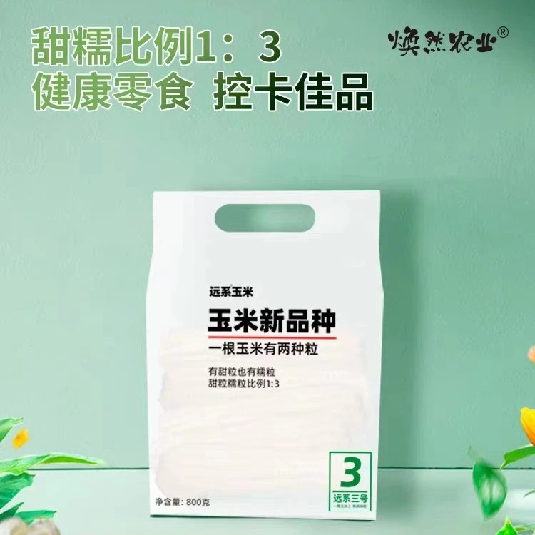 焕然远系玉米东北甜糯玉米真空新鲜苞米非转基因单根170g5根装