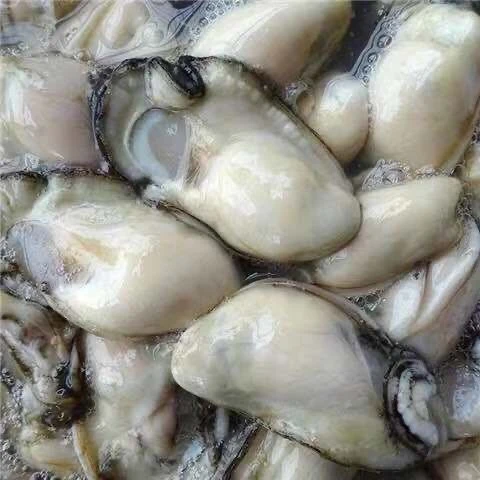 大连本地海蛎子肉3斤3包，新鲜速冻顺丰包邮