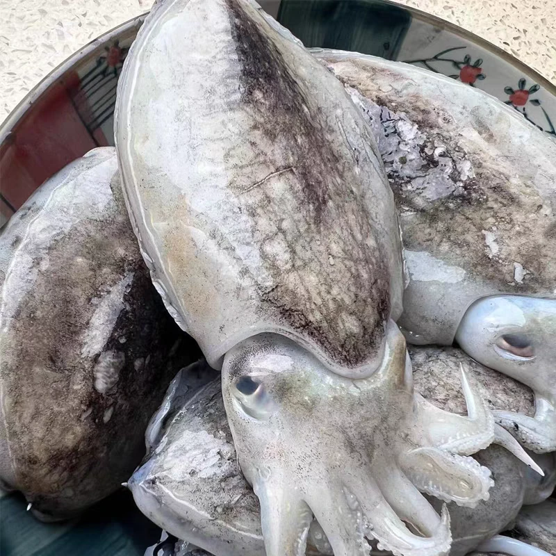 大连本地乌鱼4斤，干冰气冻发货，顺丰包邮