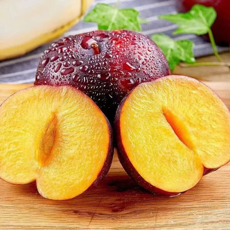 新鲜现摘水果李子