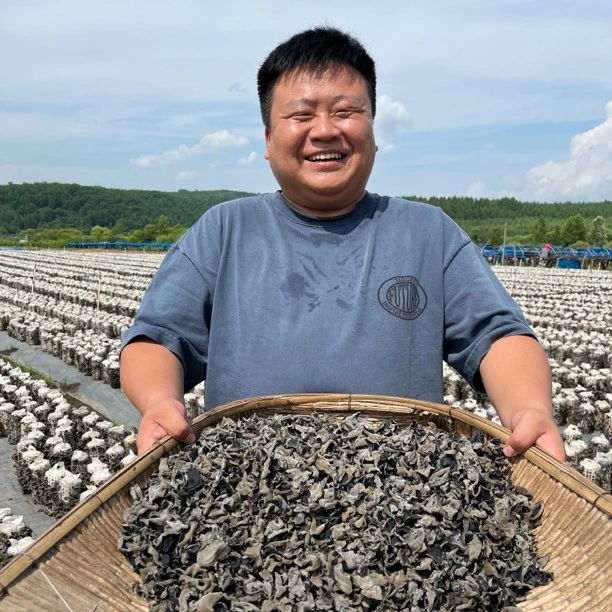 2025年头茬春耳 吉林汪清大峰哥自家木耳 500克 泡发率高
