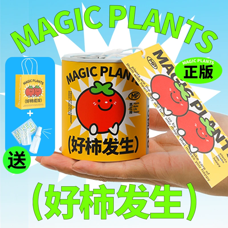 神奇植物好柿发生番茄种子罐头植物办公桌面盆栽绿植创意礼物