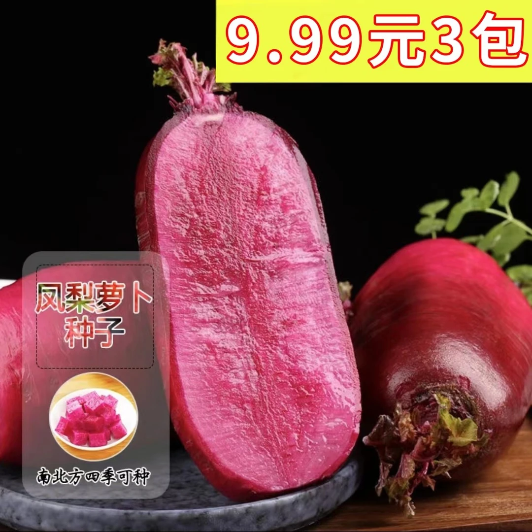 【凤梨水果萝卜种子】凤梨萝卜阳台菜园庭院可萝卜种子lz