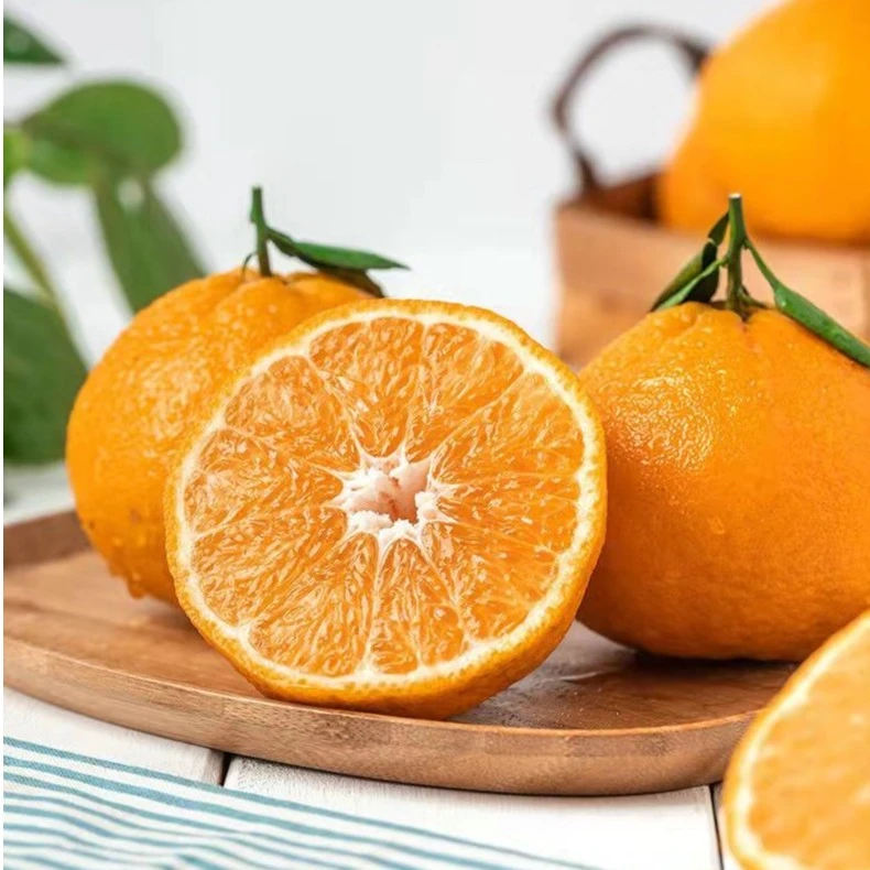 四川眉山核心产区爱媛果冻橙新鲜采摘橙子