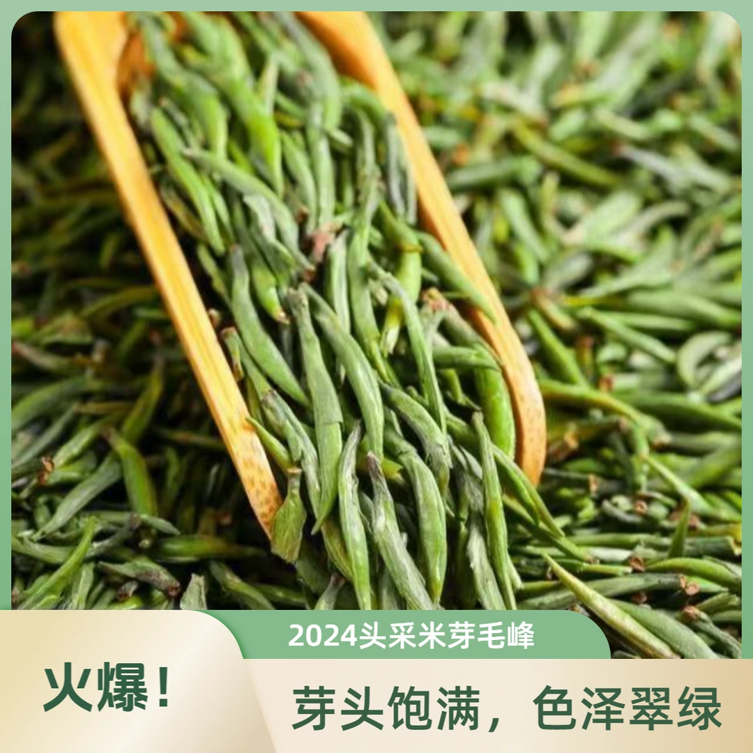 2024年新茶特级黄山毛峰浓郁花香