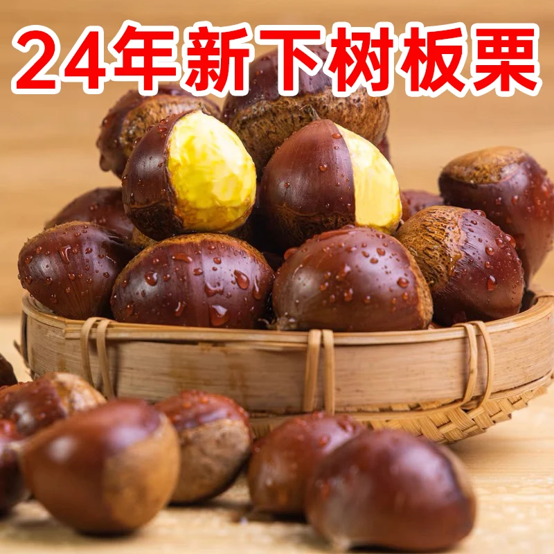 2024新鲜丹东板栗5斤鲜栗子生嫩大板粟板栗野生板栗子非油栗