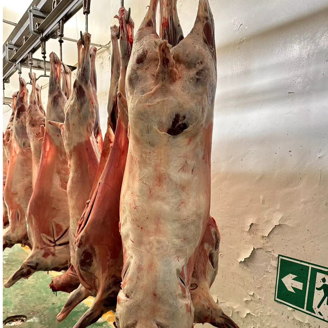 【祁连亿达】草膘藏系全羊30斤起对牙羊羔全国包邮