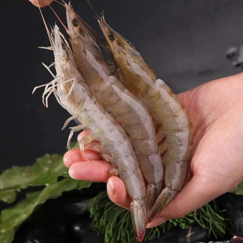 白虾维尔康 王牌原盒原包装20/30南美白虾 净重3斤